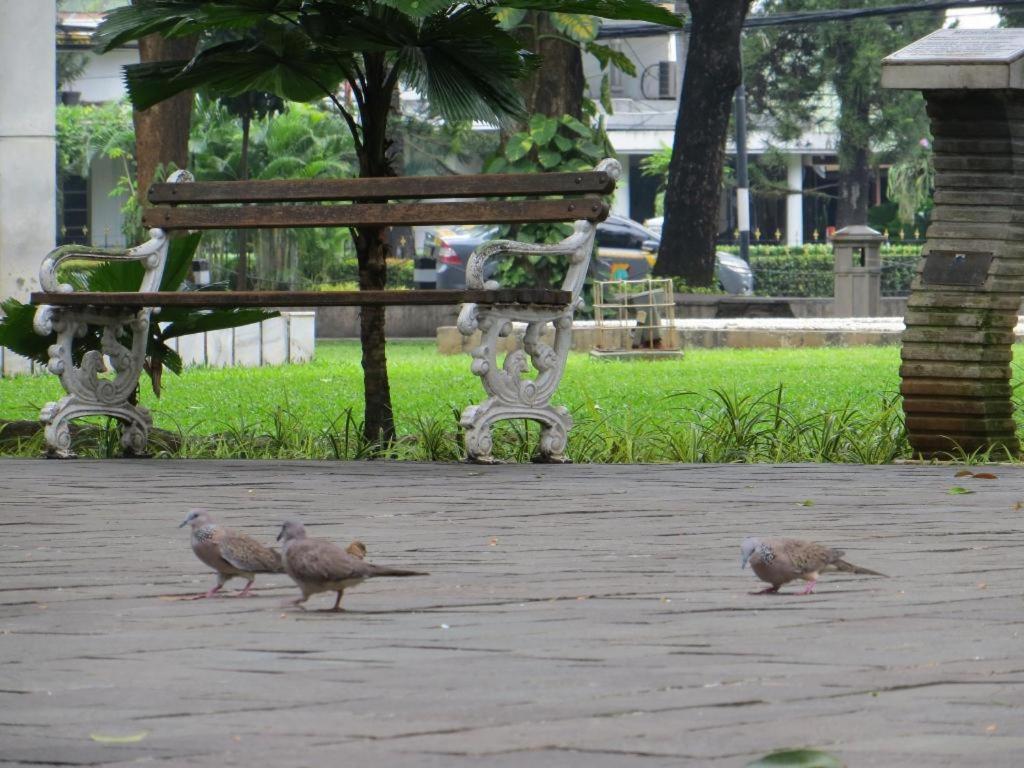 P Jakarta